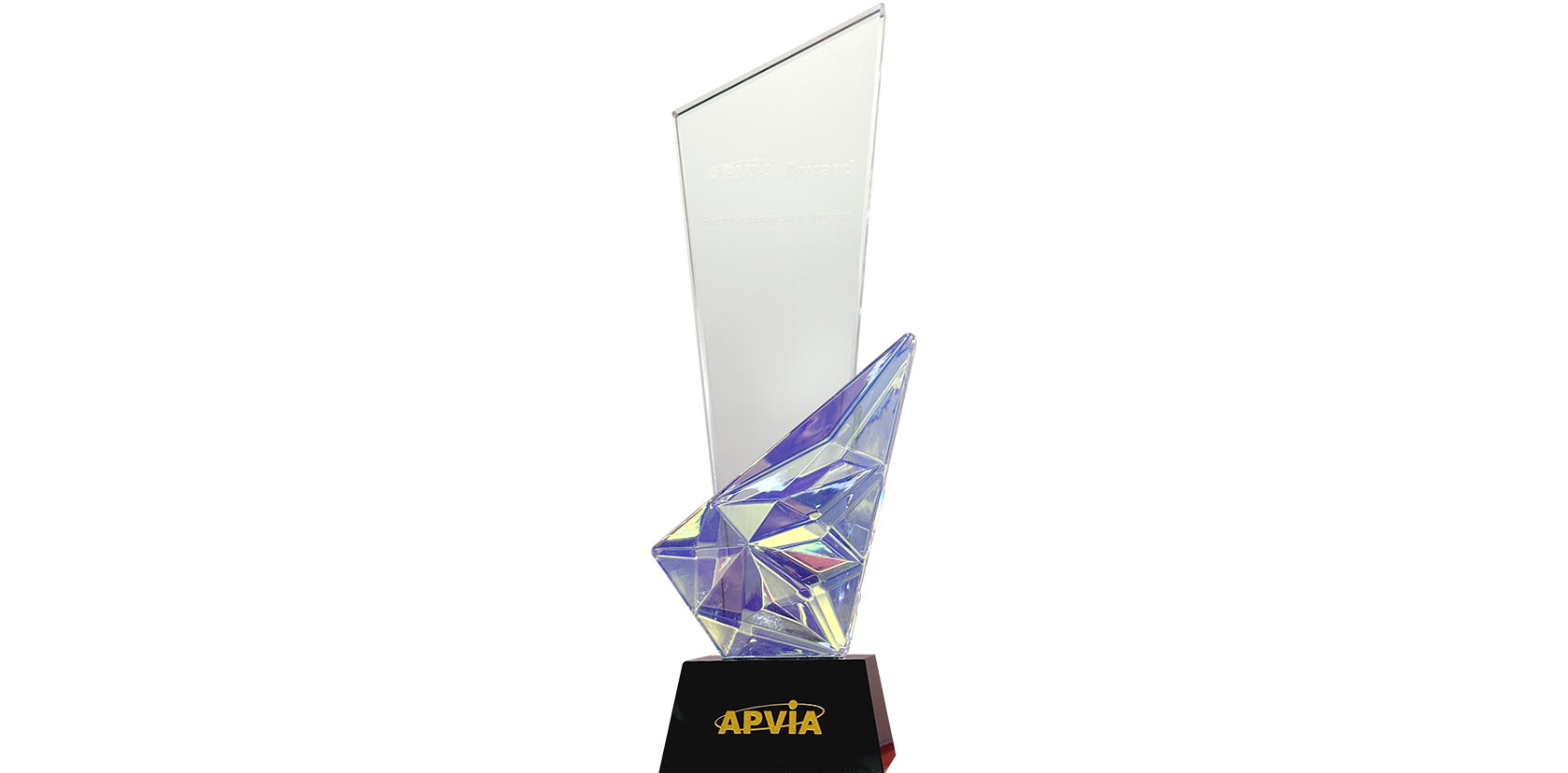 2025APVIAAward.jpg