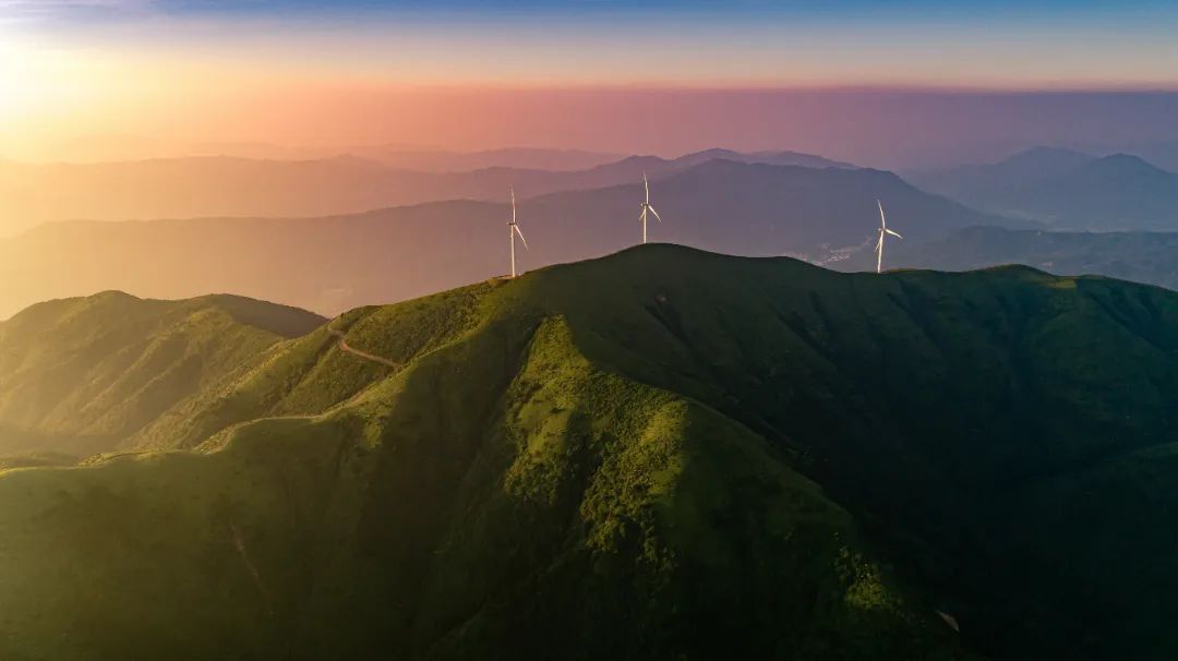 iStock-1345634803.jpg